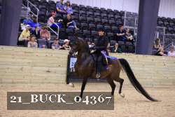 21_BUCK_04367 proof