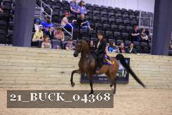 21_BUCK_04368 proof