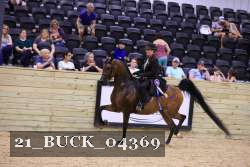 21_BUCK_04369 proof