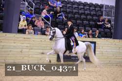 21_BUCK_04371 proof