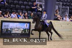 21_BUCK_04372 proof