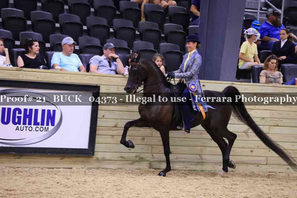 Proof 21_BUCK_04373