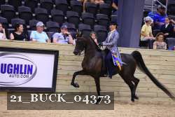 21_BUCK_04373 proof