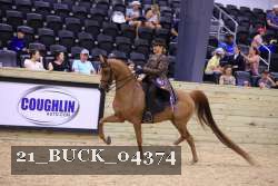 21_BUCK_04374 proof