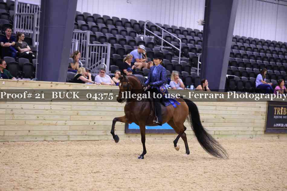 Proof 21_BUCK_04375