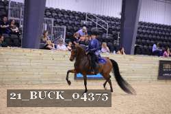21_BUCK_04375 proof