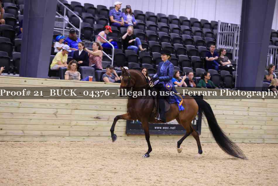 Proof 21_BUCK_04376