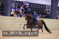 21_BUCK_04376 proof