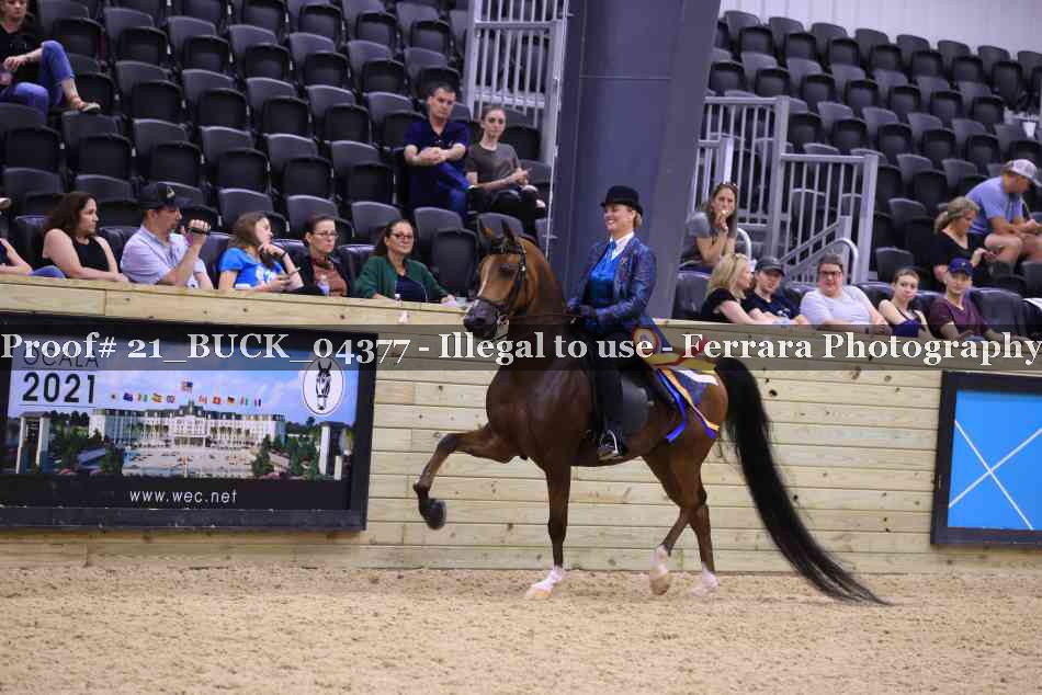 Proof 21_BUCK_04377