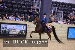 21_BUCK_04377 proof