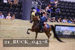 21_BUCK_04378 proof