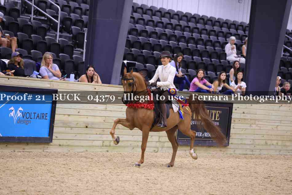Proof 21_BUCK_04379