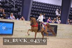 21_BUCK_04379 proof