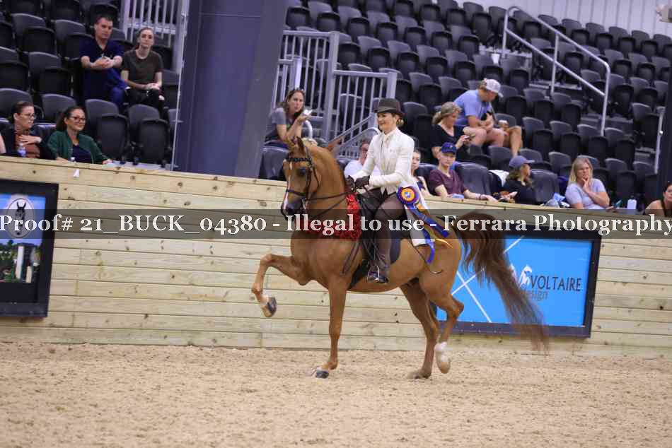 Proof 21_BUCK_04380
