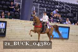 21_BUCK_04380 proof