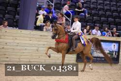 21_BUCK_04381 proof