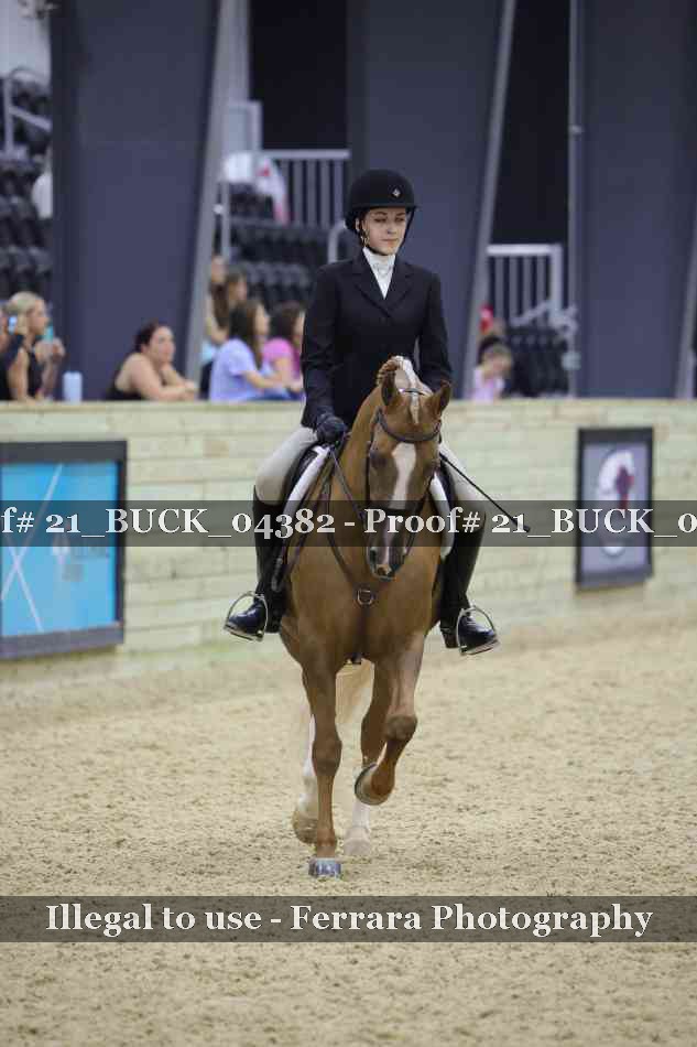 Proof 21_BUCK_04382