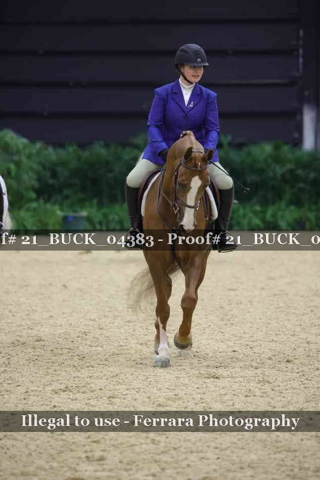 Proof 21_BUCK_04383