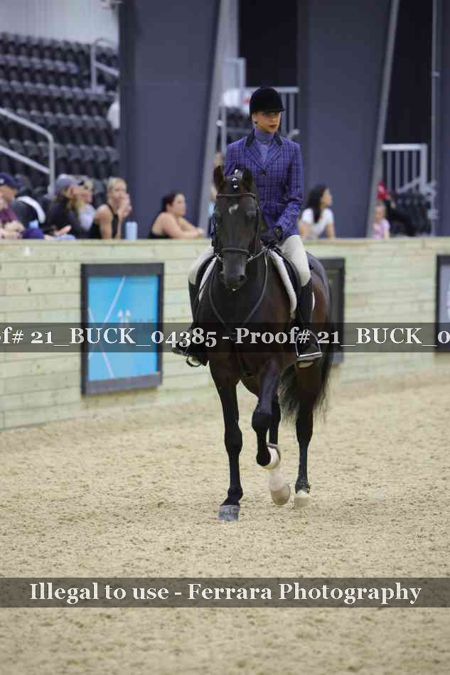 Proof 21_BUCK_04385