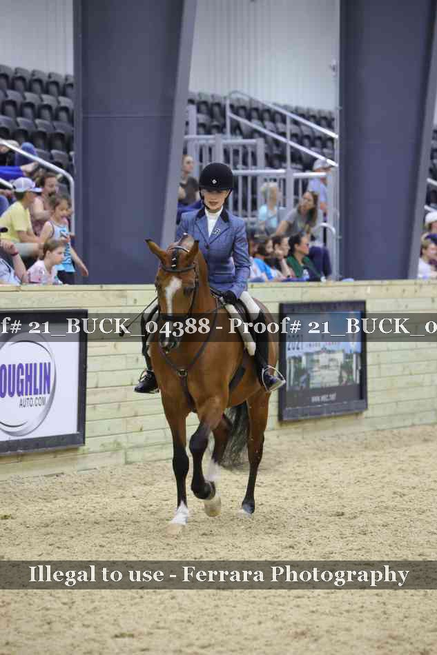 Proof 21_BUCK_04388