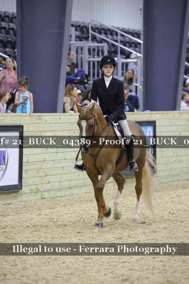 Proof 21_BUCK_04389