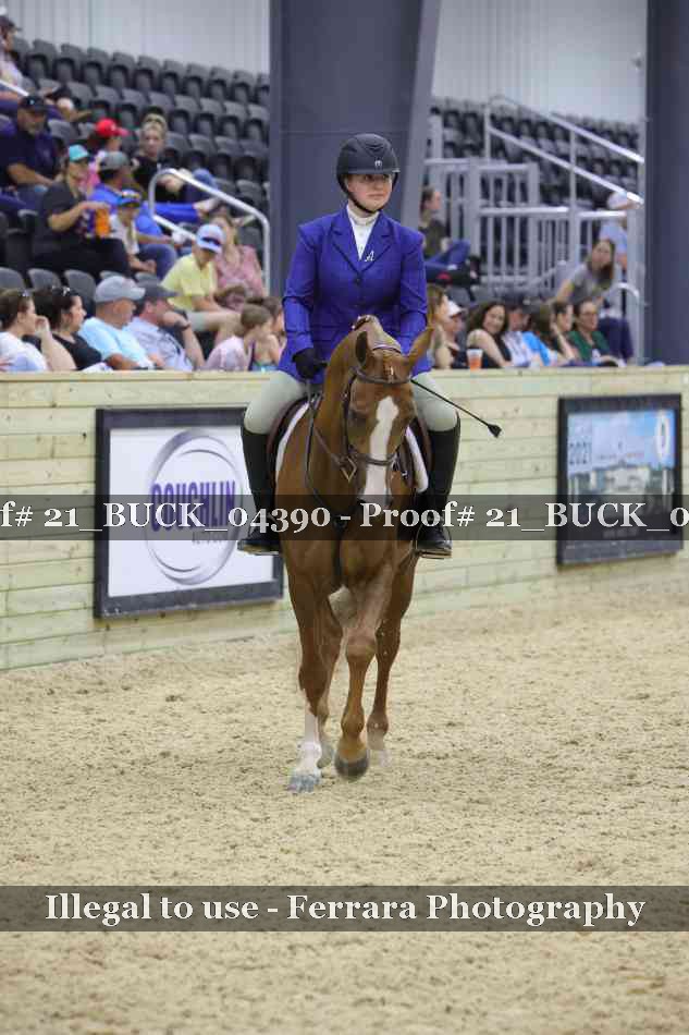 Proof 21_BUCK_04390