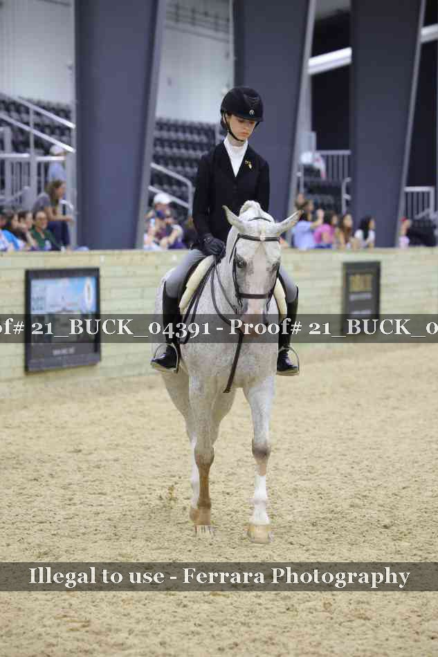 Proof 21_BUCK_04391