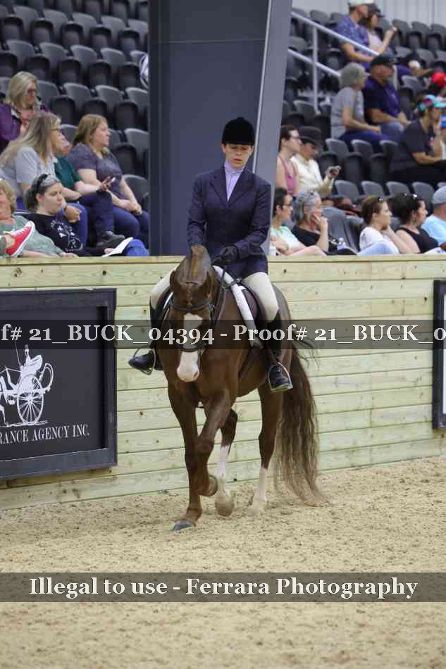 Proof 21_BUCK_04394
