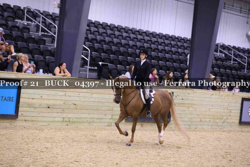 Proof 21_BUCK_04397