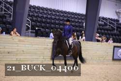 21_BUCK_04400 proof