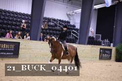 21_BUCK_04401 proof