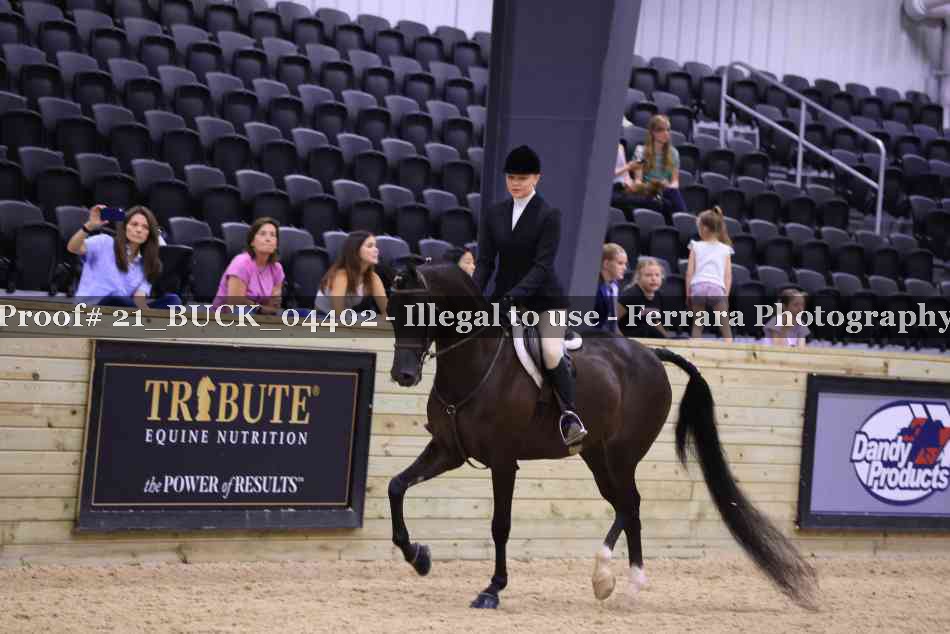 Proof 21_BUCK_04402