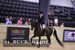 21_BUCK_04402 proof