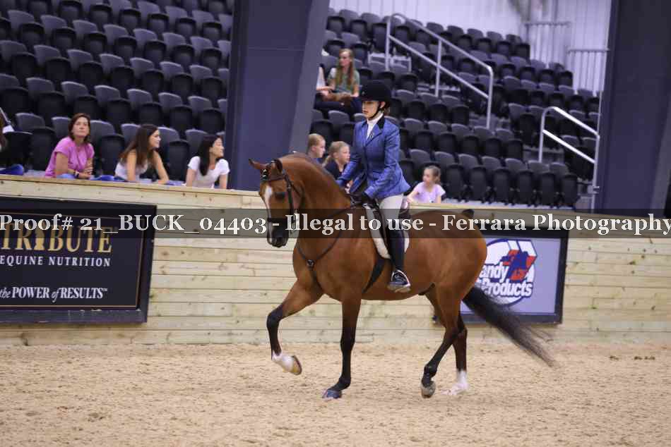 Proof 21_BUCK_04403