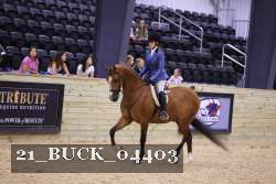 21_BUCK_04403 proof