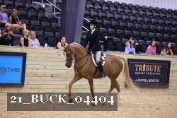 21_BUCK_04404 proof