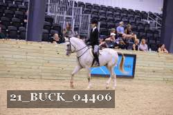 21_BUCK_04406 proof
