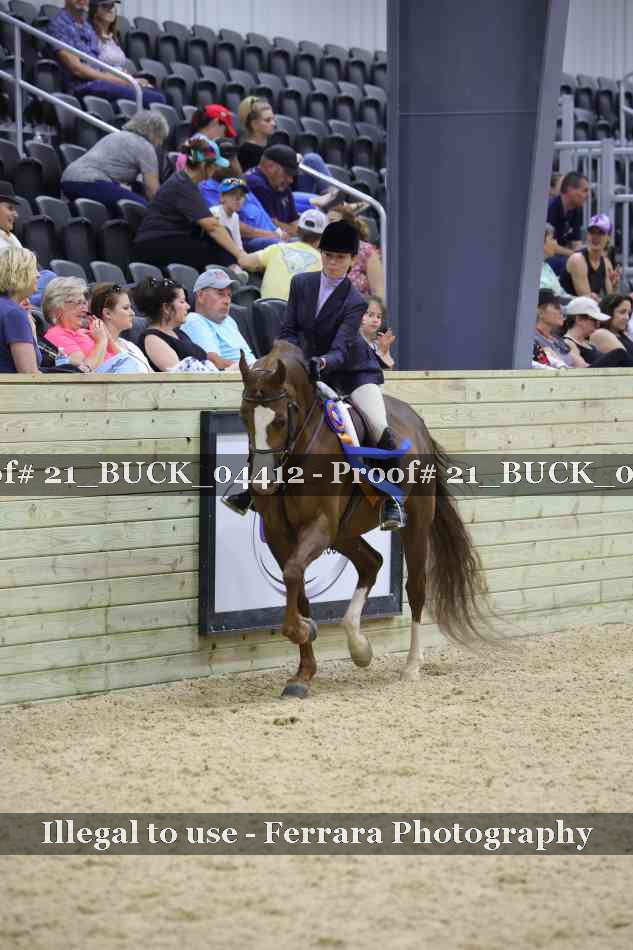 Proof 21_BUCK_04412