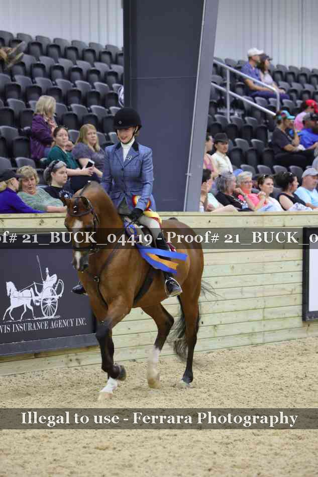 Proof 21_BUCK_04419