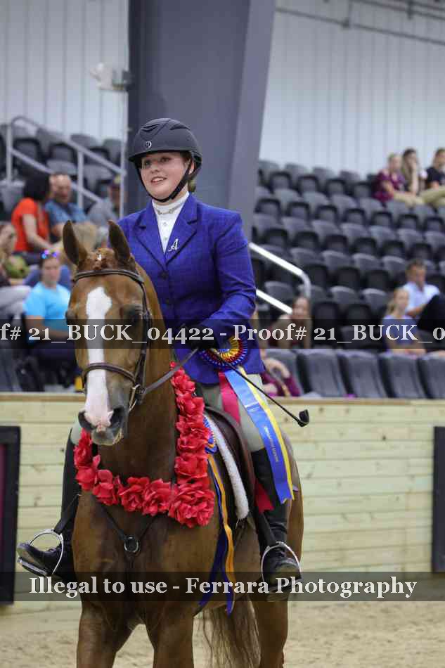 Proof 21_BUCK_04422