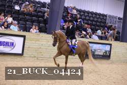 21_BUCK_04424 proof
