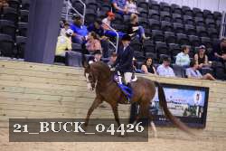 21_BUCK_04426 proof