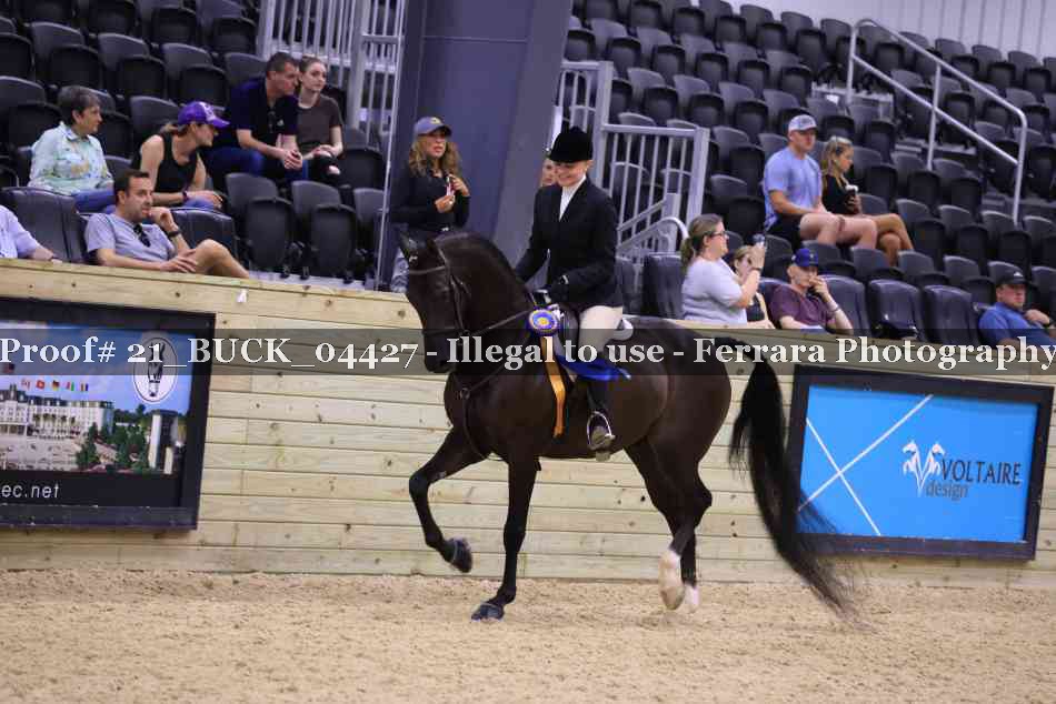 Proof 21_BUCK_04427