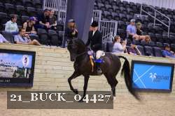 21_BUCK_04427 proof