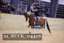 21_BUCK_04428 proof