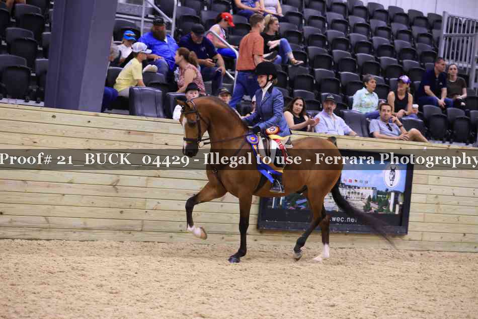 Proof 21_BUCK_04429