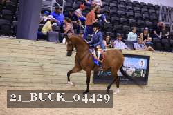 21_BUCK_04429 proof
