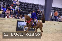 21_BUCK_04430 proof