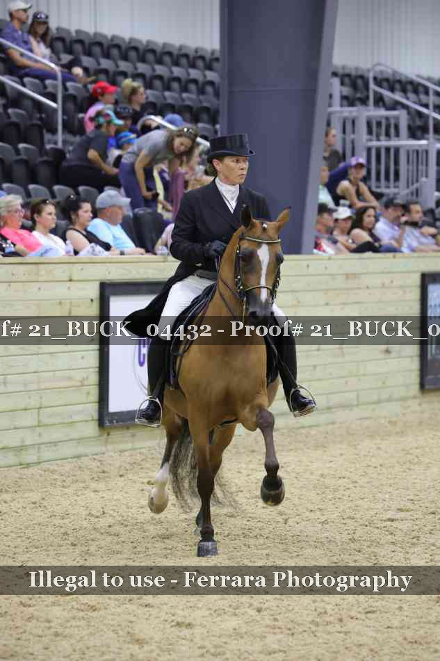 Proof 21_BUCK_04432