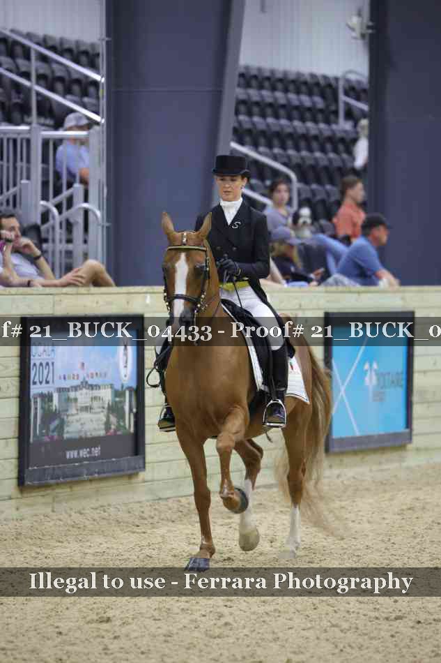 Proof 21_BUCK_04433
